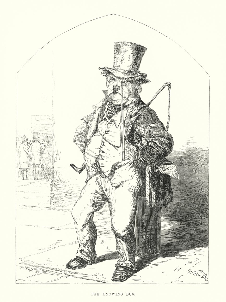 Roliga hundar: Den kunniga hunden (gravyr) av Harrison William Weir