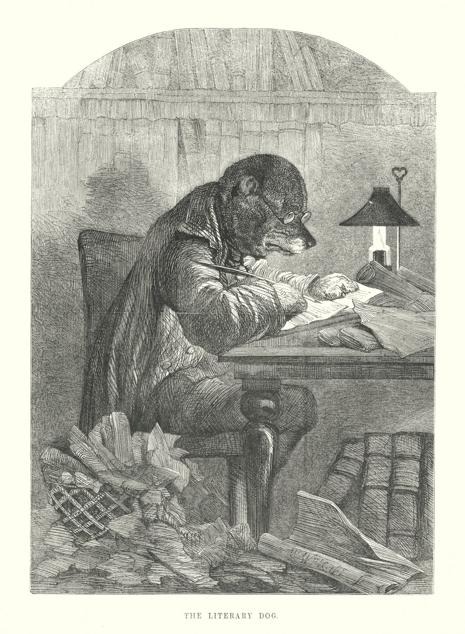 Roliga hundar: Den litterära hunden (gravyr) av Harrison William Weir