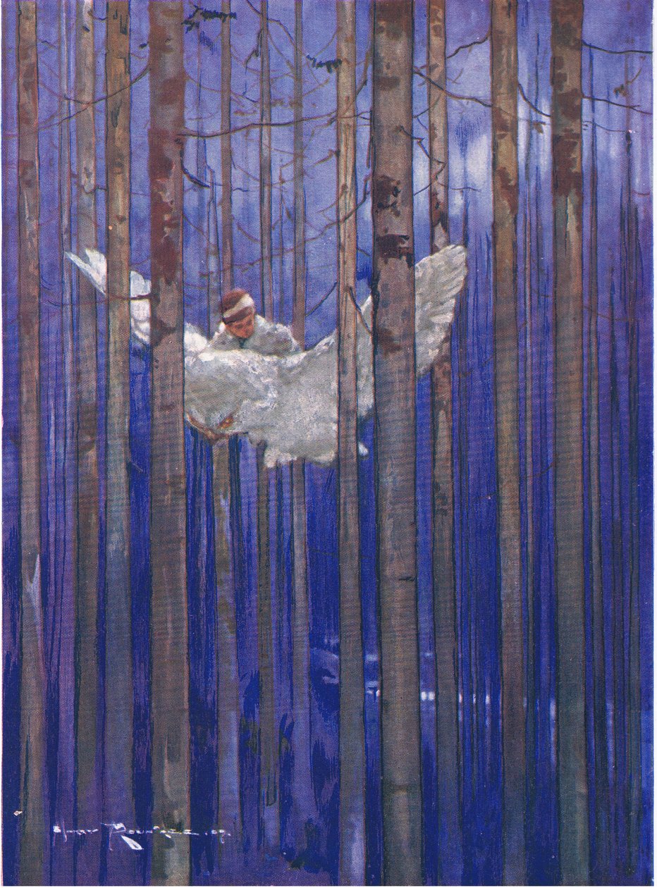 Ugglan och Gilbert hade fantastiska turer i månskenet (från The Forest Foundling) (färg litho) av Harry Rountree