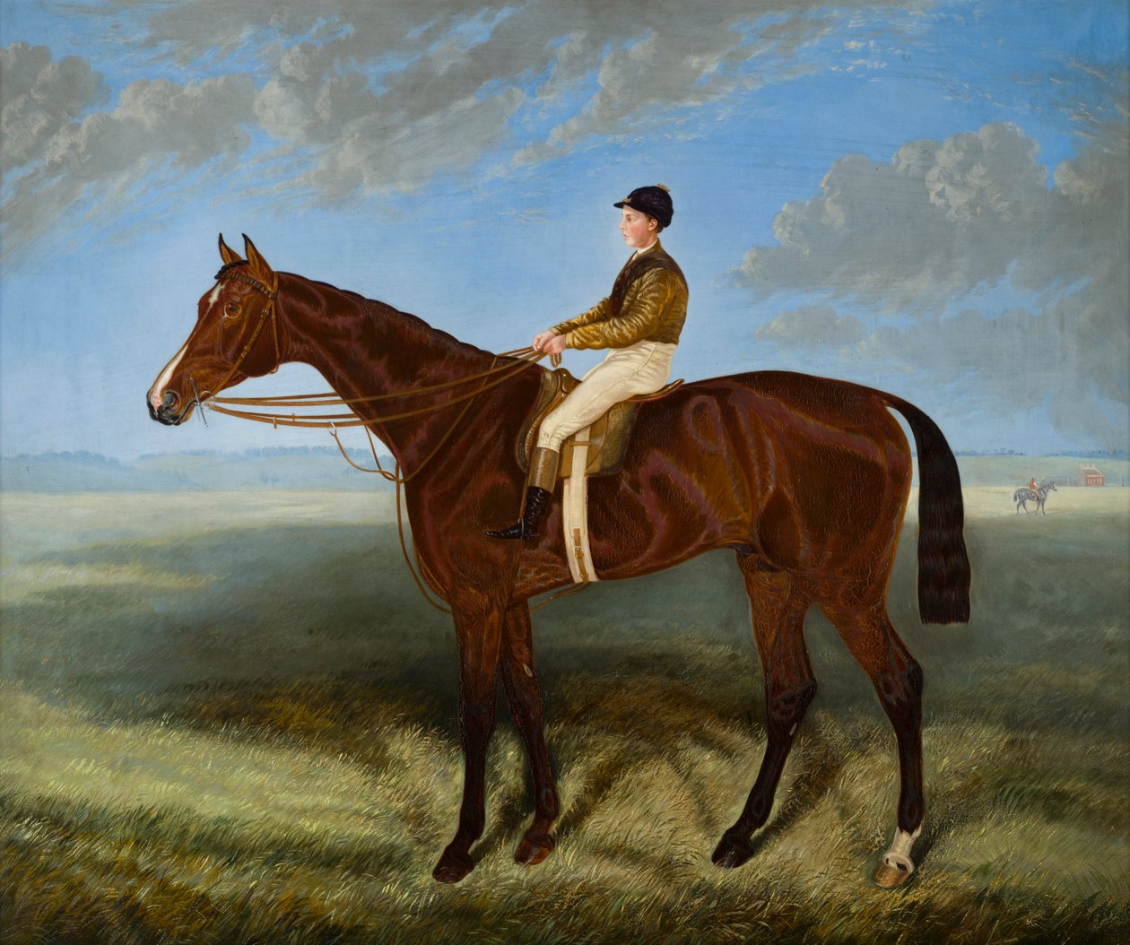 Salpinctes-en kapplöpningshäst, ca 1814-82 (olja på duk) av Harry (after) Hall
