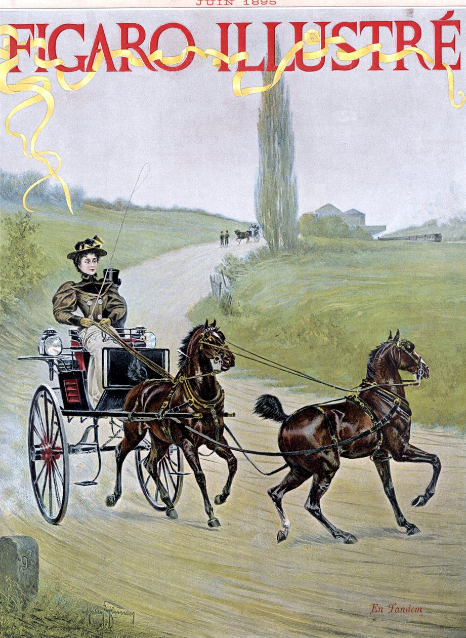 Kvinna som kör vagn med av Harry Finney