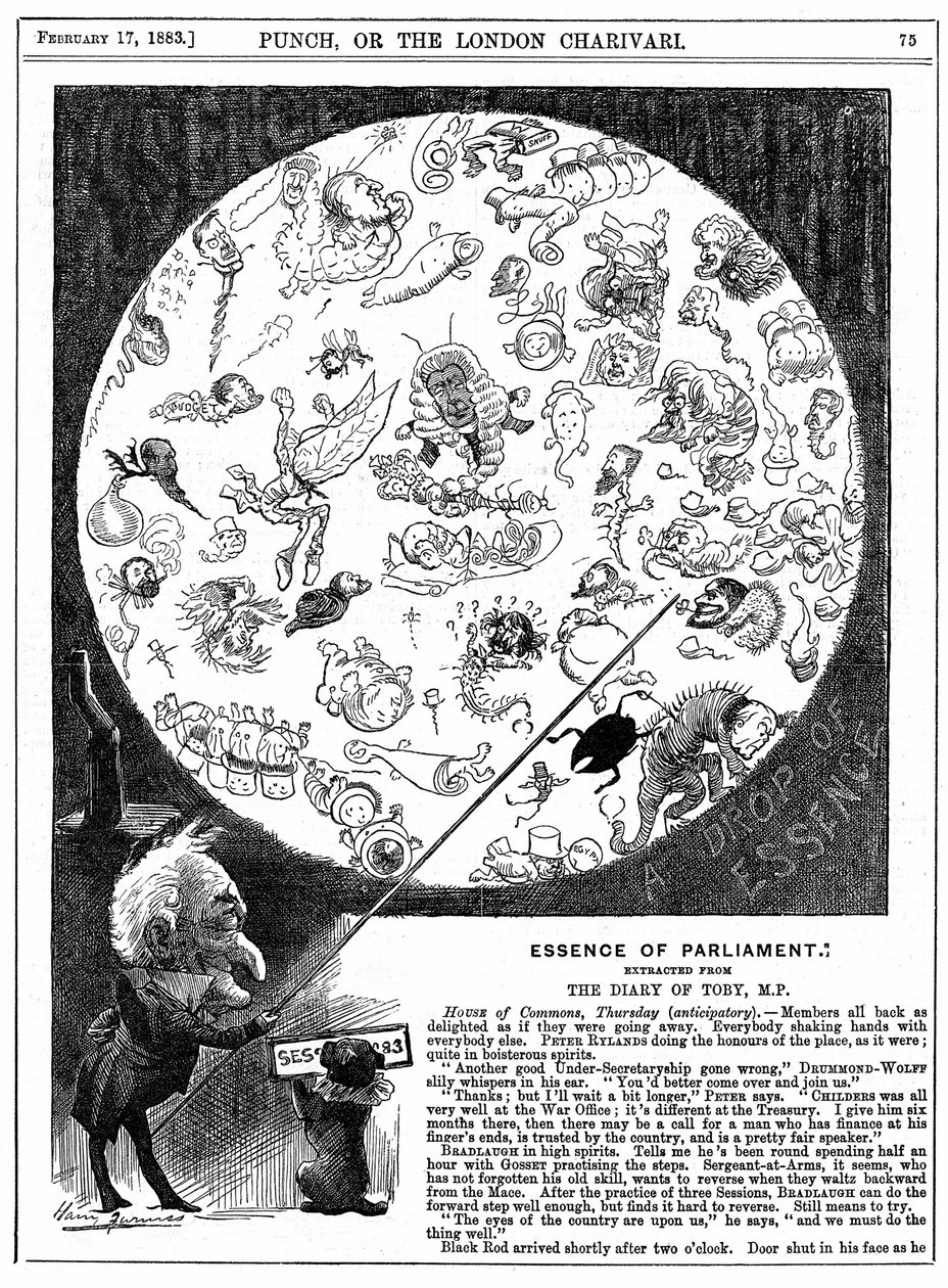 Essence of Parliament: Tecknad serie som markerar invigningen av parlamentets första session för 1883 (trägravyr) av Harry Furniss