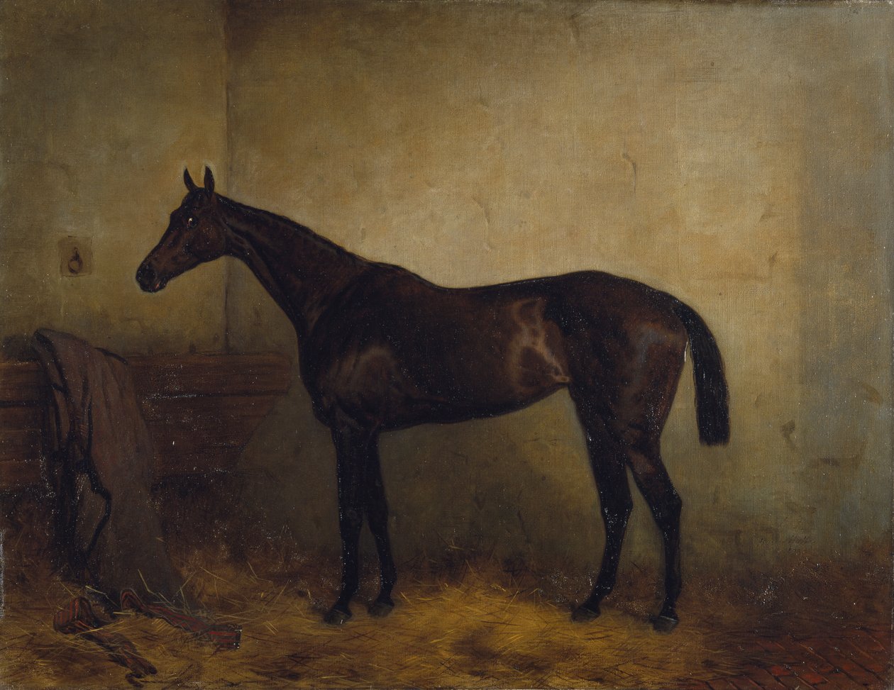Chaplet, a bay race mare in a loosebox, c.1877 (olja på duk) av Harry Hall
