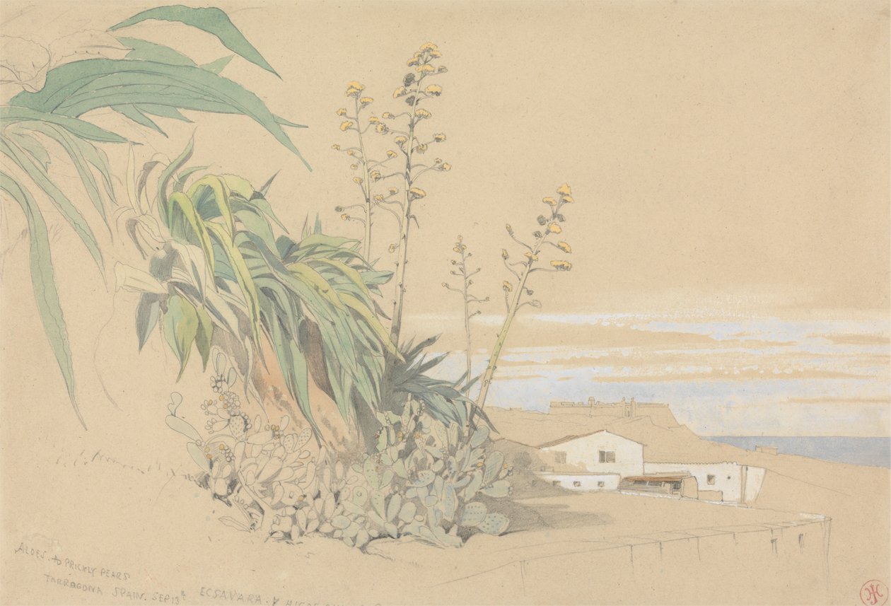 Aloe och prickly Pears, Tarragona, Spanien av Harry John Johnson