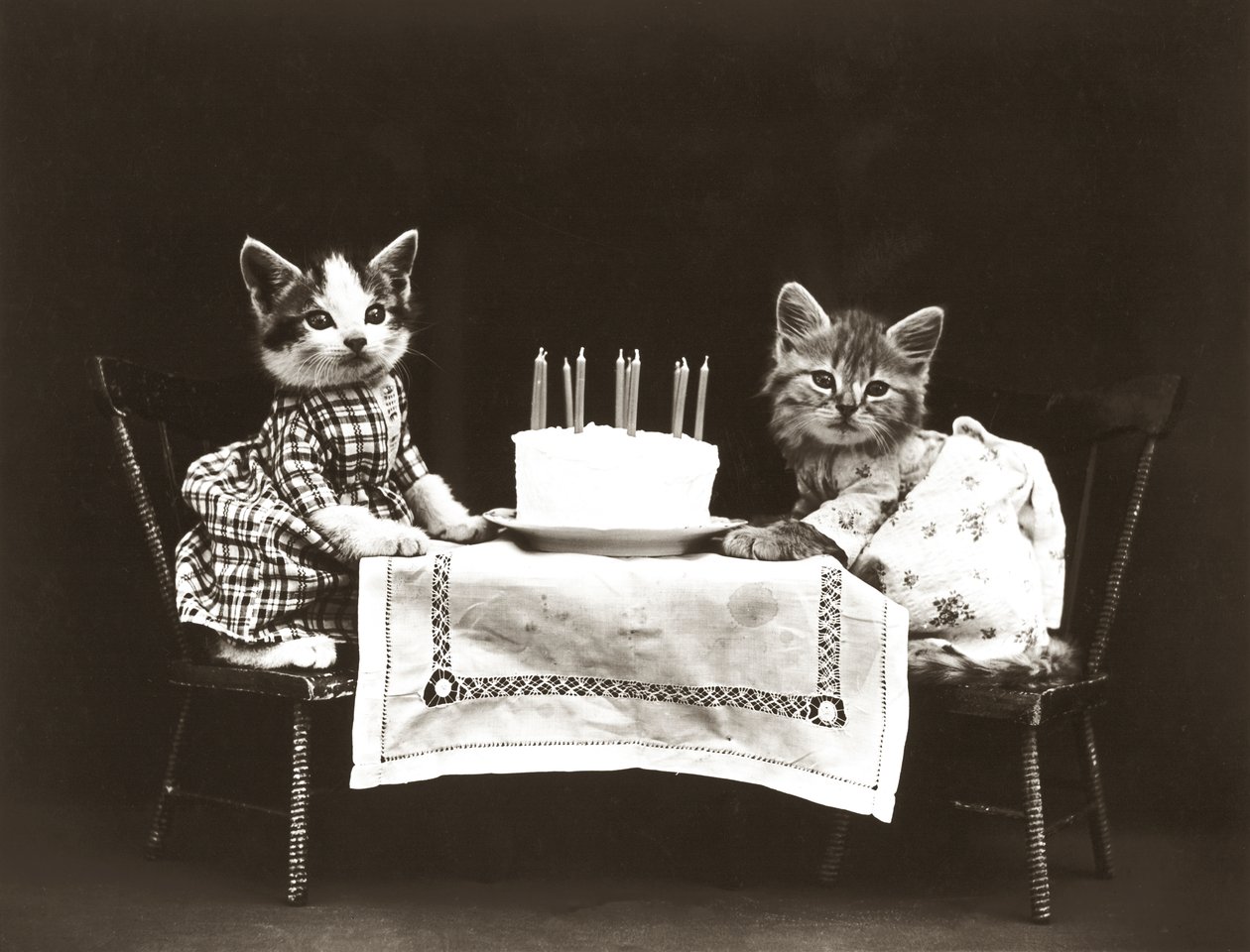 Serie med kattungar: Födelsedagskalas, ca 1914 (silvertryck) av Harry Whittier Frees