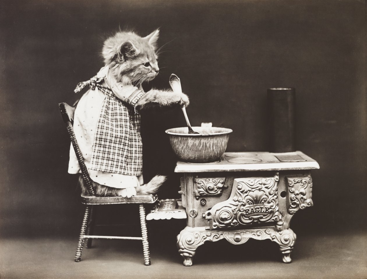 Serie med kattungar: Kock vid spisen, ca 1914 (silvertryck) av Harry Whittier Frees