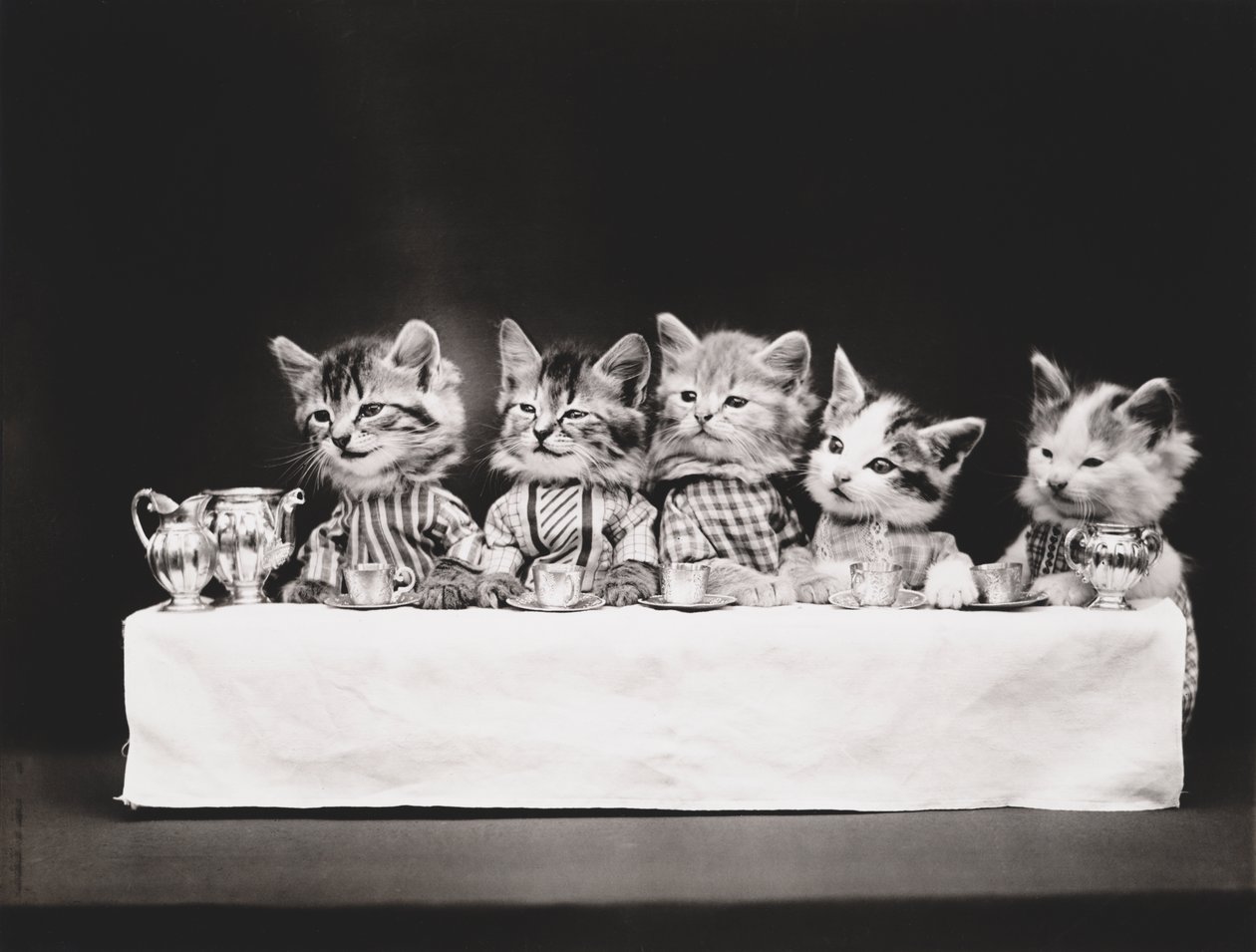 Serie med kattungar: Sista måltiden, ca 1914 (silvertryck) av Harry Whittier Frees