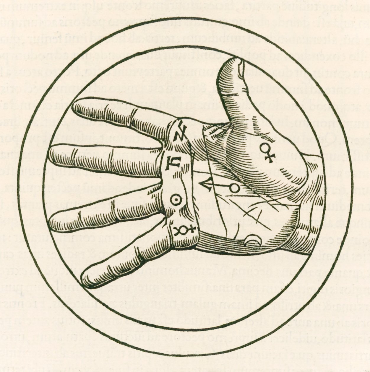 Hand of Palmistry gravyr från Heinrich Cornelius Agrippa von Nettesheim (1486-1535) De occulta philosophia libri tres (Three Books of Occult Philosophy) publicerad 1533. av Heinrich Cornelius Agrippa von Nettesheim