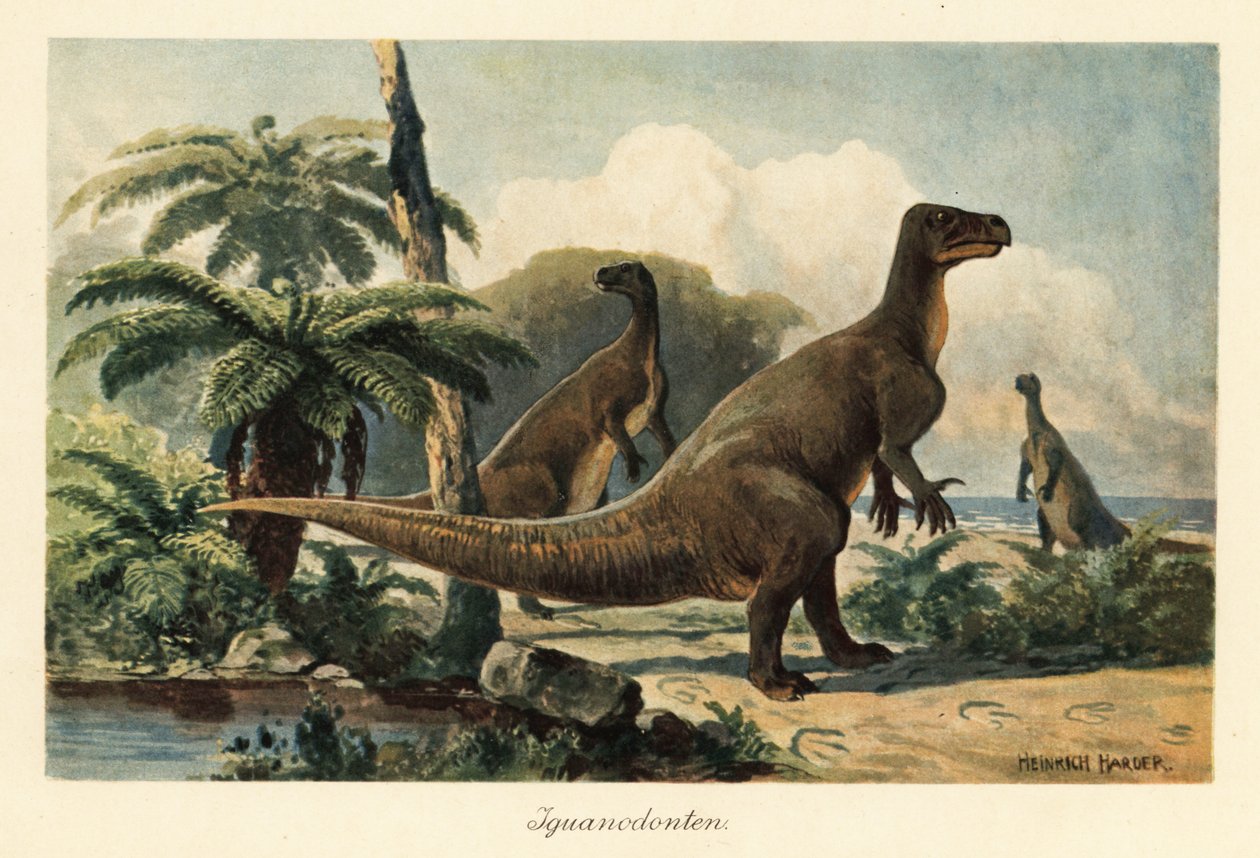 Iguanodon bernissartensis i en förhistorisk ormbunkeskog. av Heinrich Harder
