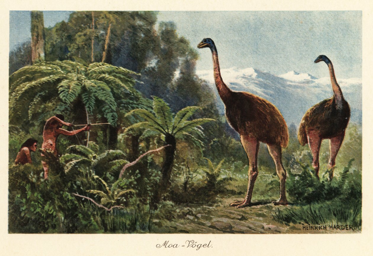 Moa-fåglar som jagas av män med pilar och båge. av Heinrich Harder
