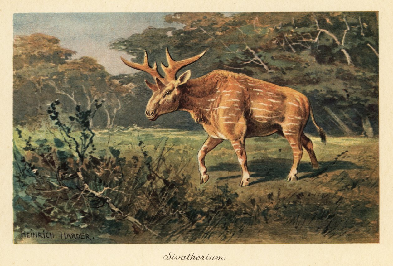 Sivatherium giganteum i en djungel glänta. av Heinrich Harder
