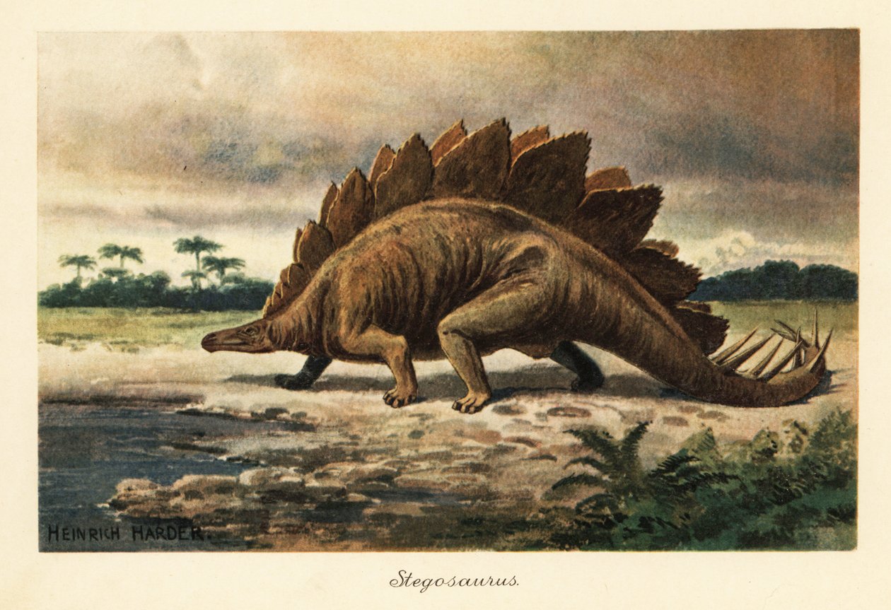 Stegosaurus armatus från sen jura. av Heinrich Harder