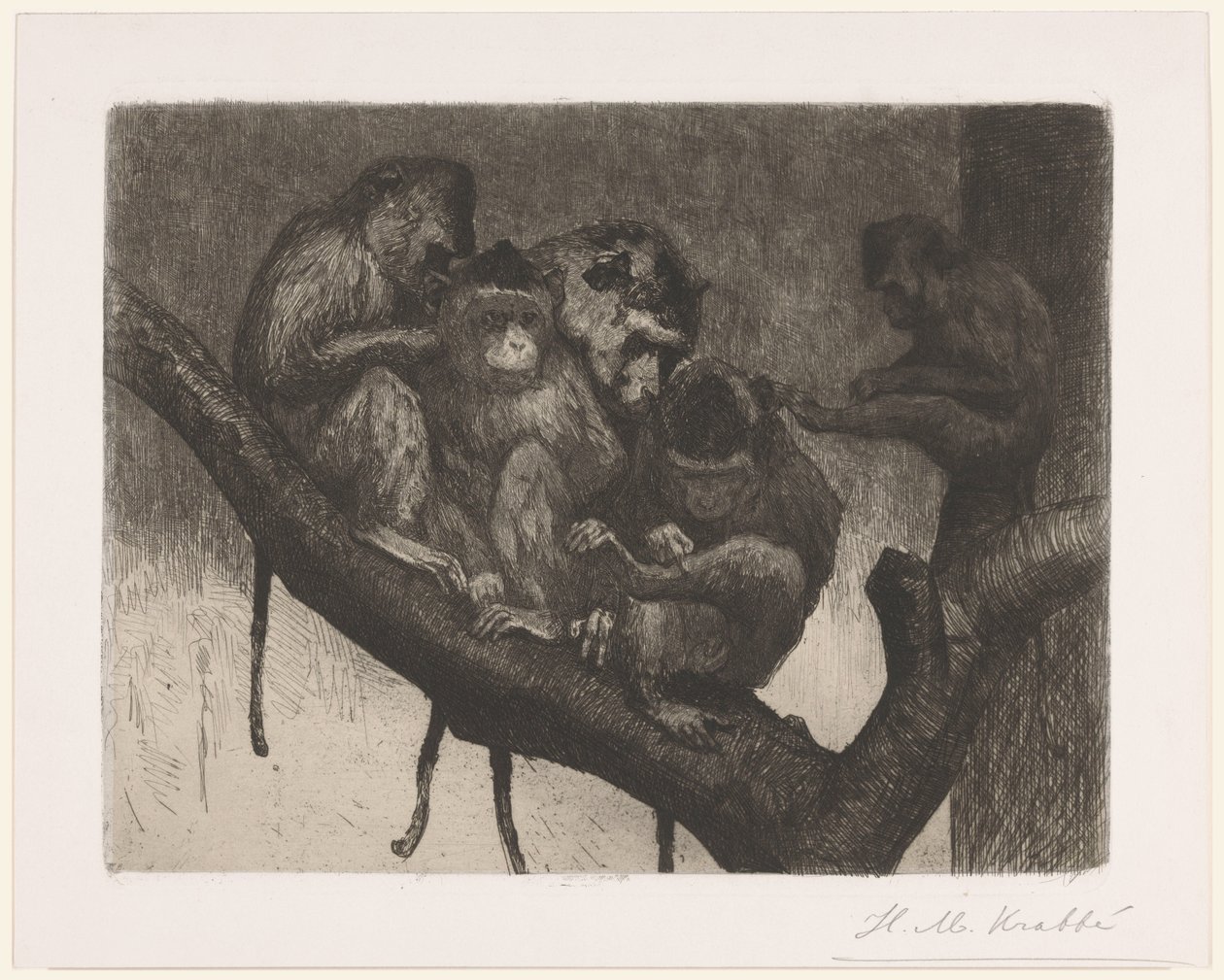 Fem apor i ett träd av Heinrich M. Krabbé (signed by artist)