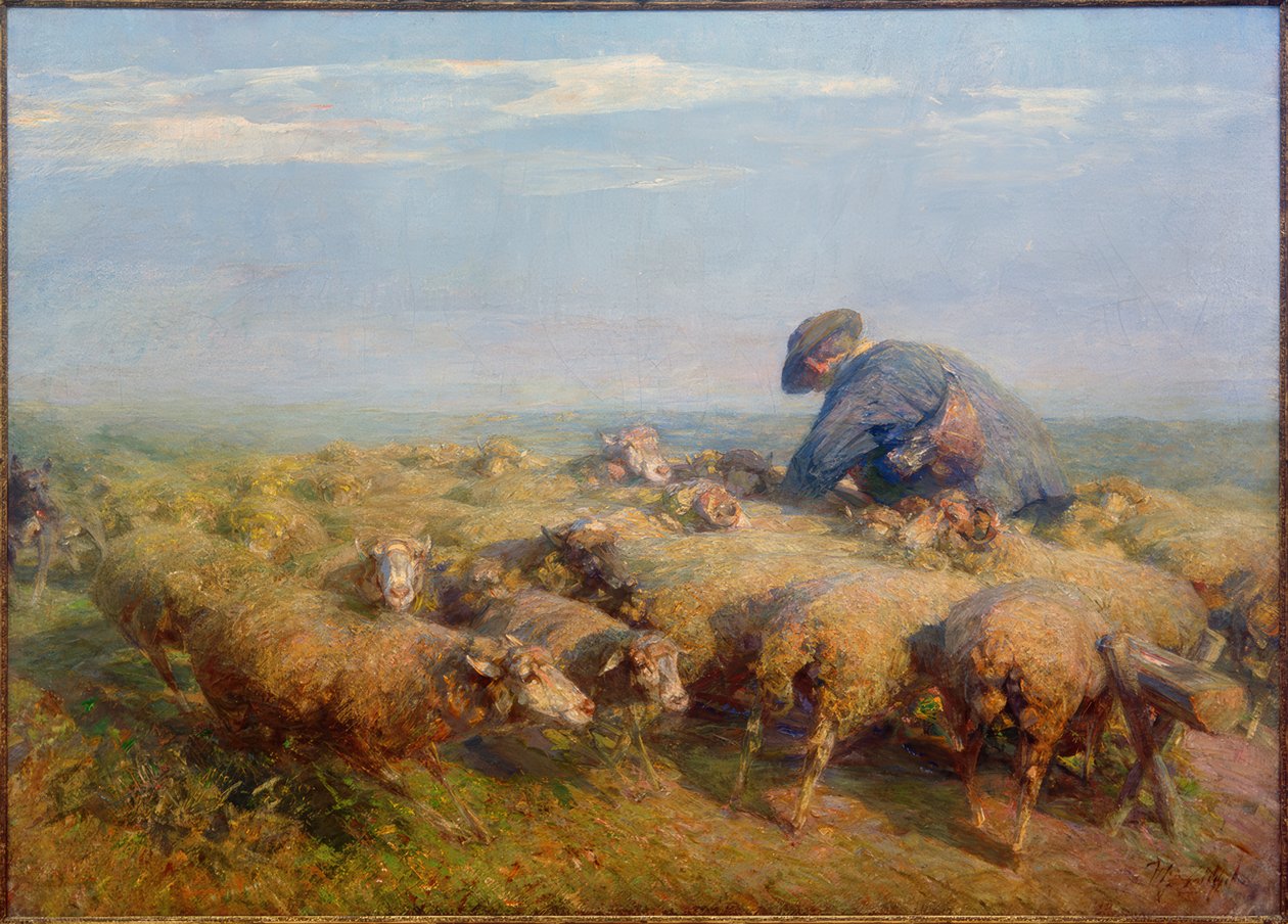 Flocken av får av Heinrich von Zügel