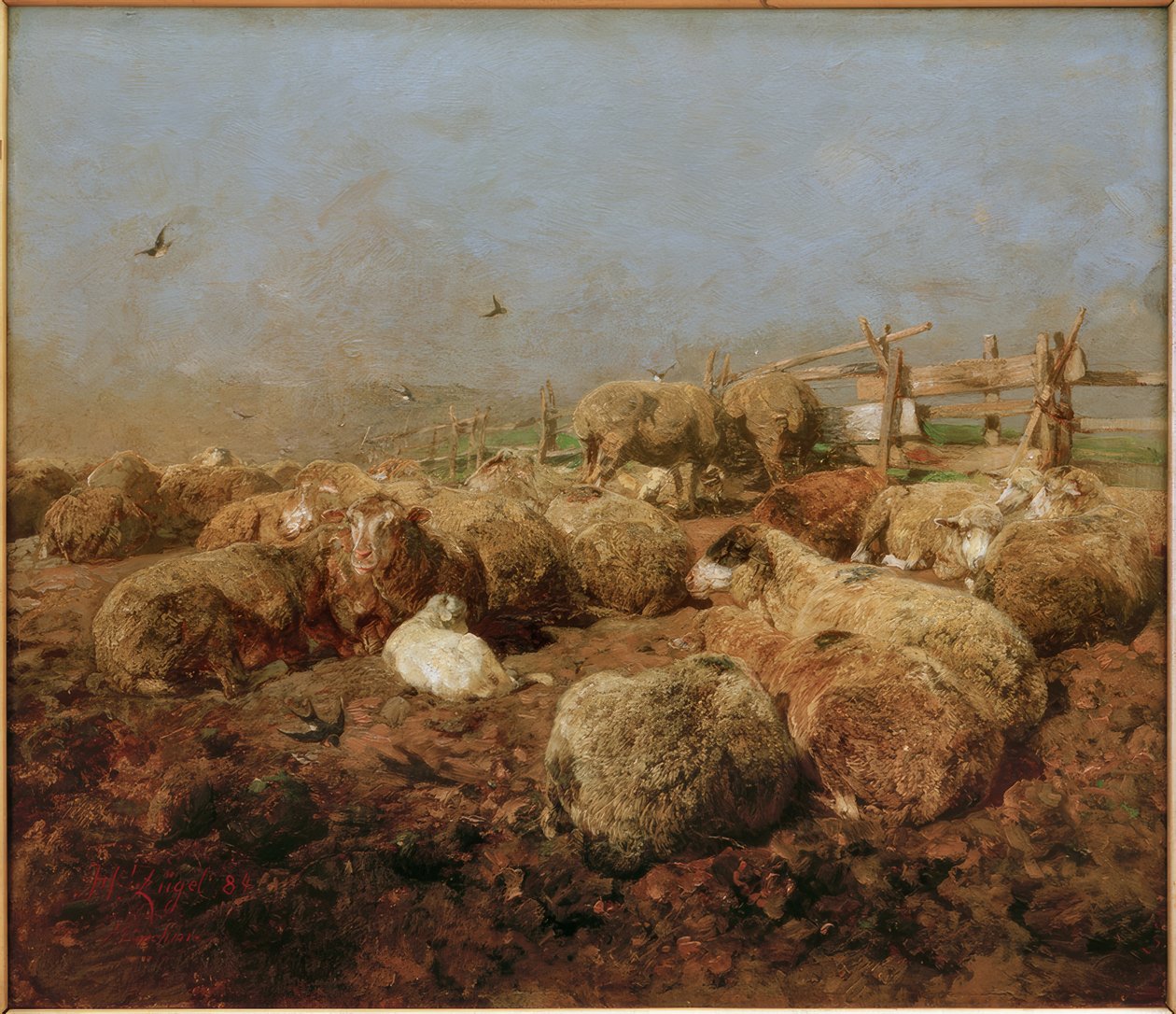 Får i fållan av Heinrich von Zügel