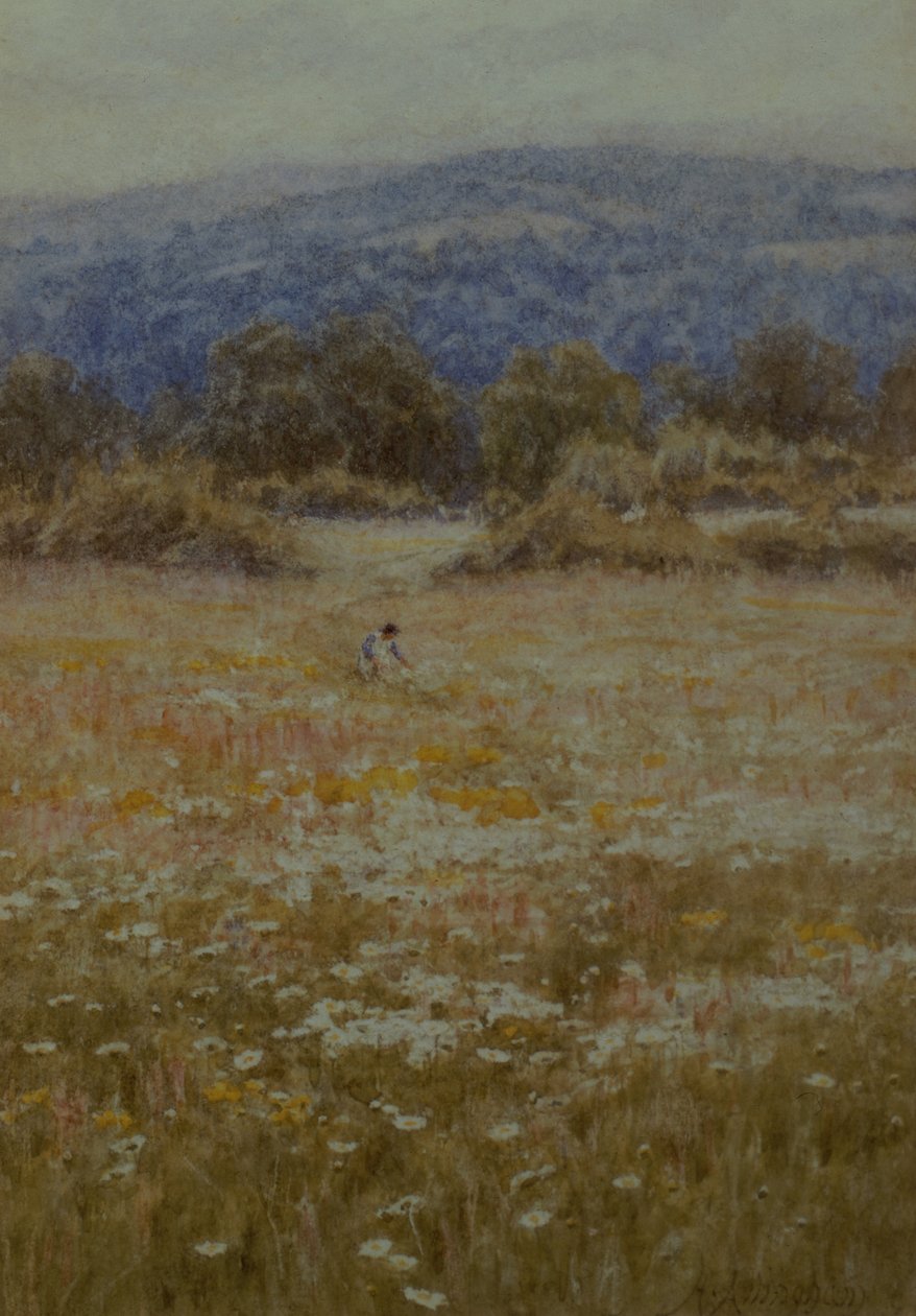 Plockning av prästkragar i Westerham, Kent av Helen Allingham