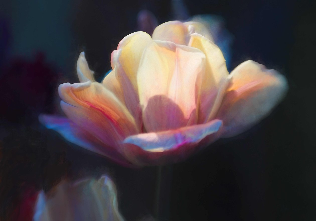 Tulai mai III, 2018, swed av Helen White