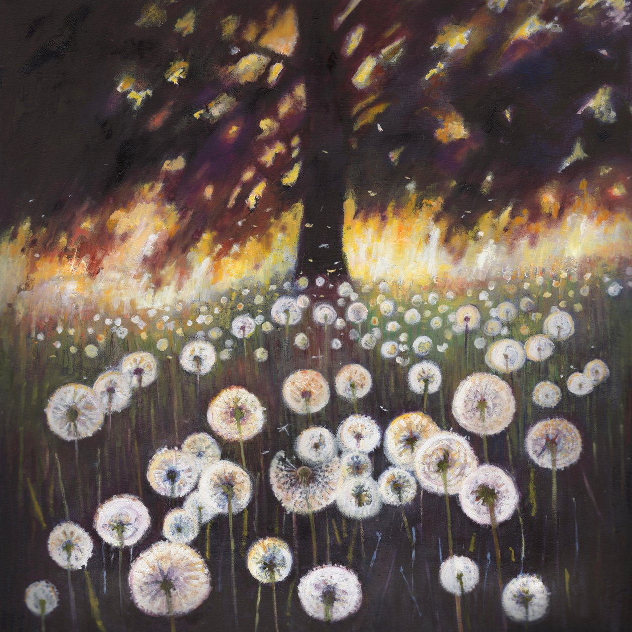 Drömmarnas fält, 2015, av Helen White