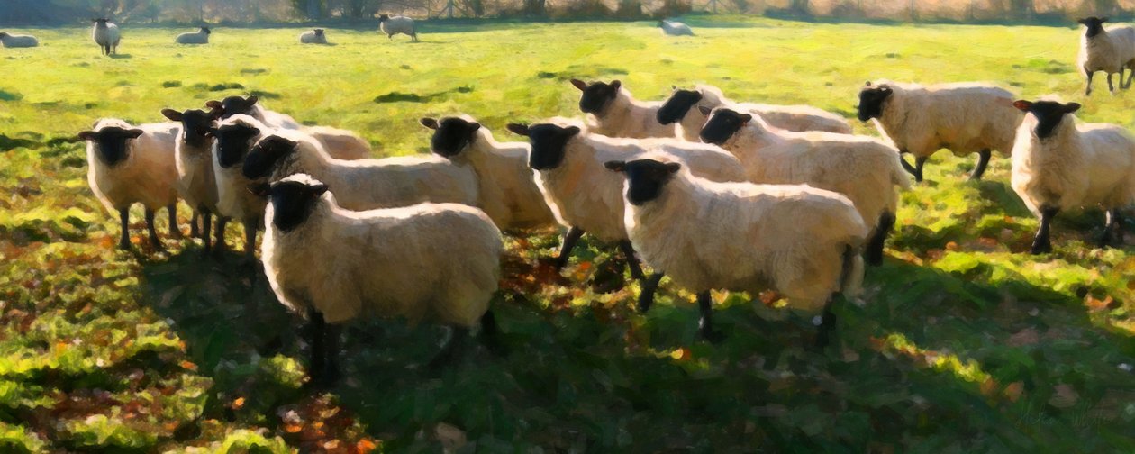 Flock Watching, 2018, av Helen White
