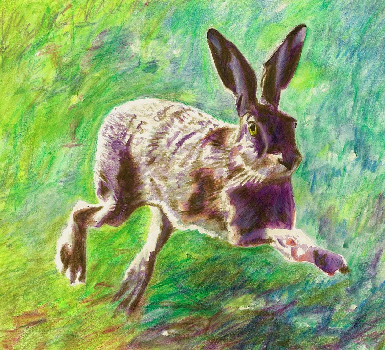 Joyful hare, 2011, (färgpenna på papper) av Helen White