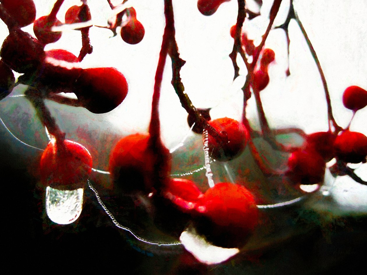 Lush Berries, 2018, av Helen White
