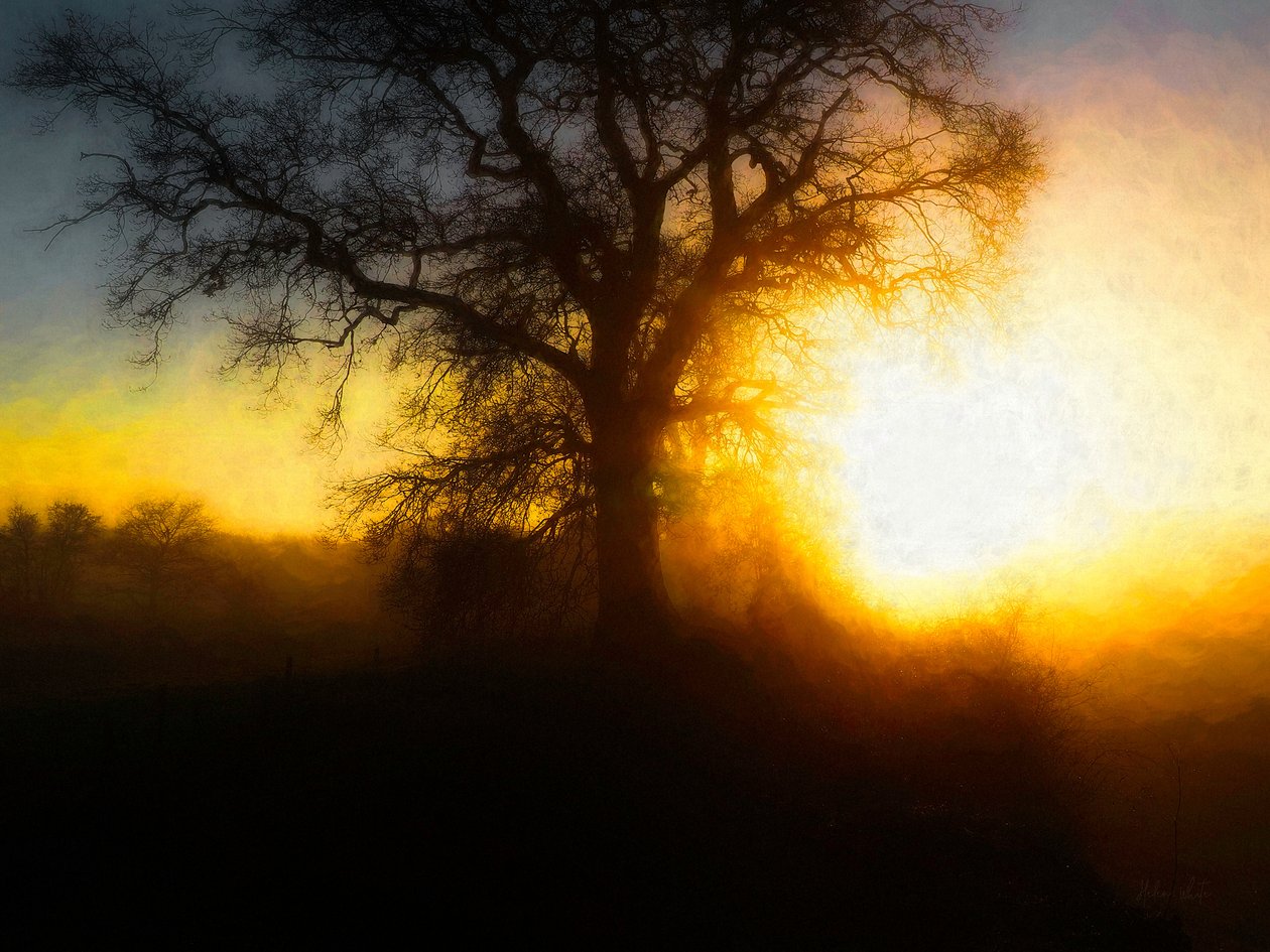 Molten Moment, 2018, swed av Helen White