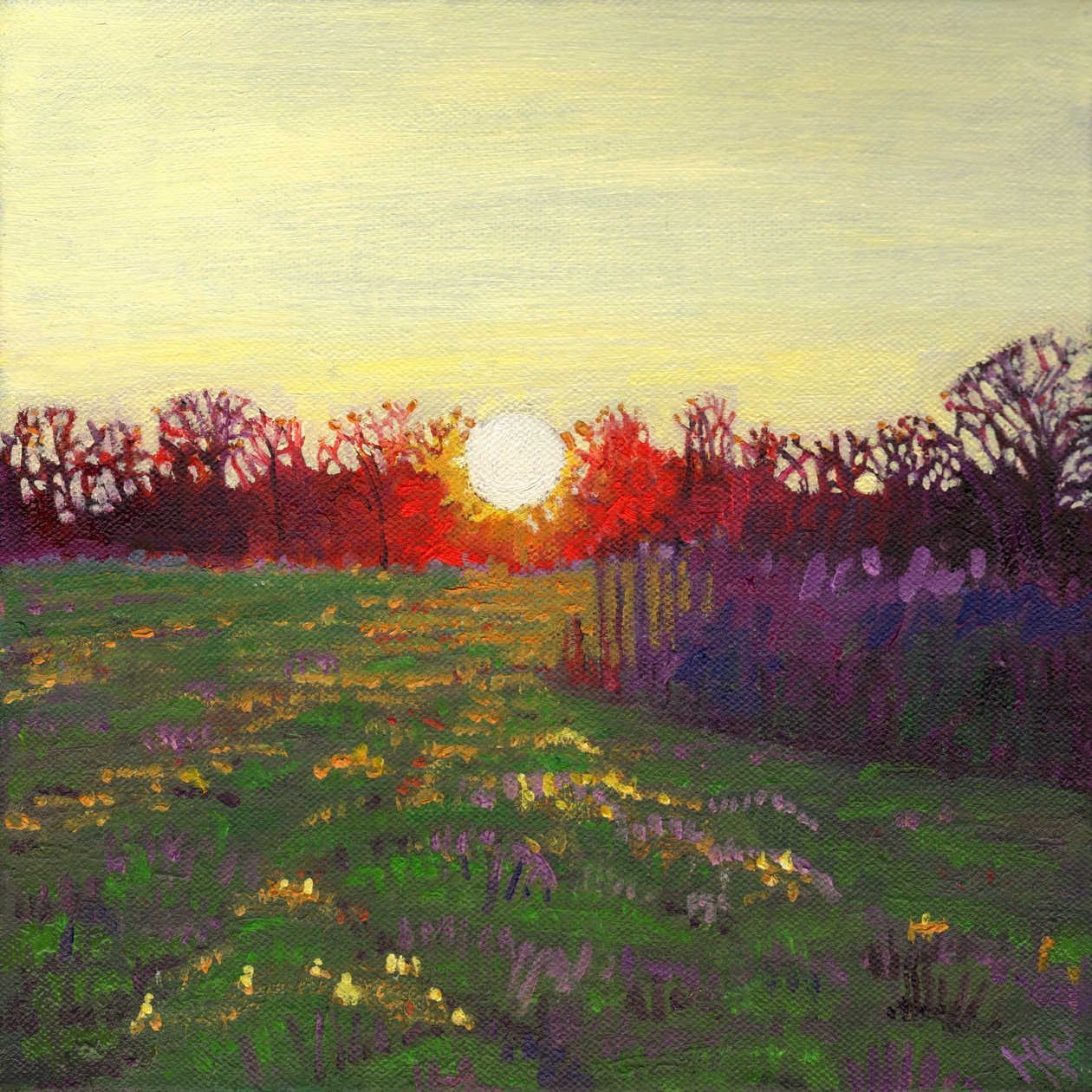 Ljusets väg, 2013, av Helen White