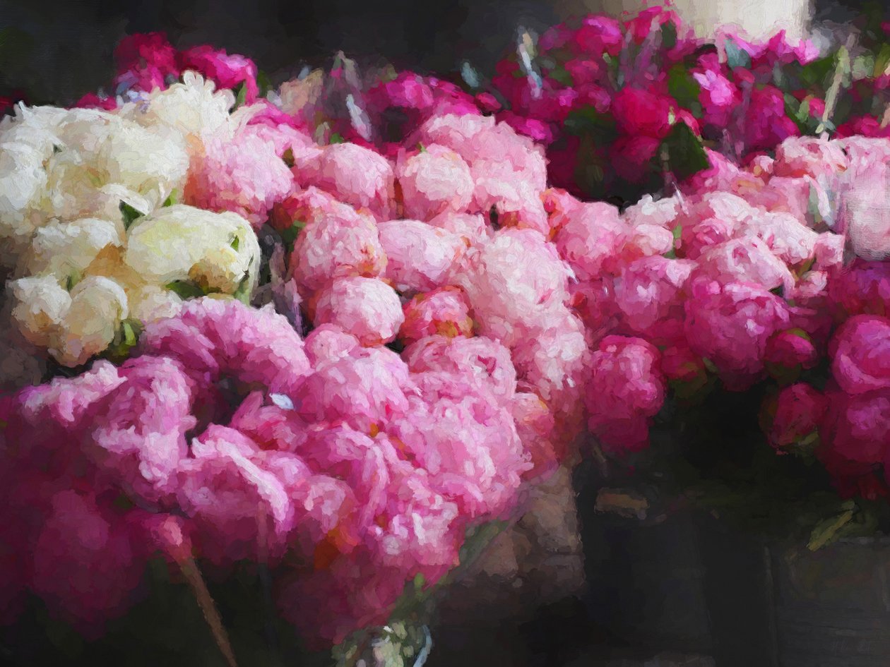 Peony Season, 2018, fa