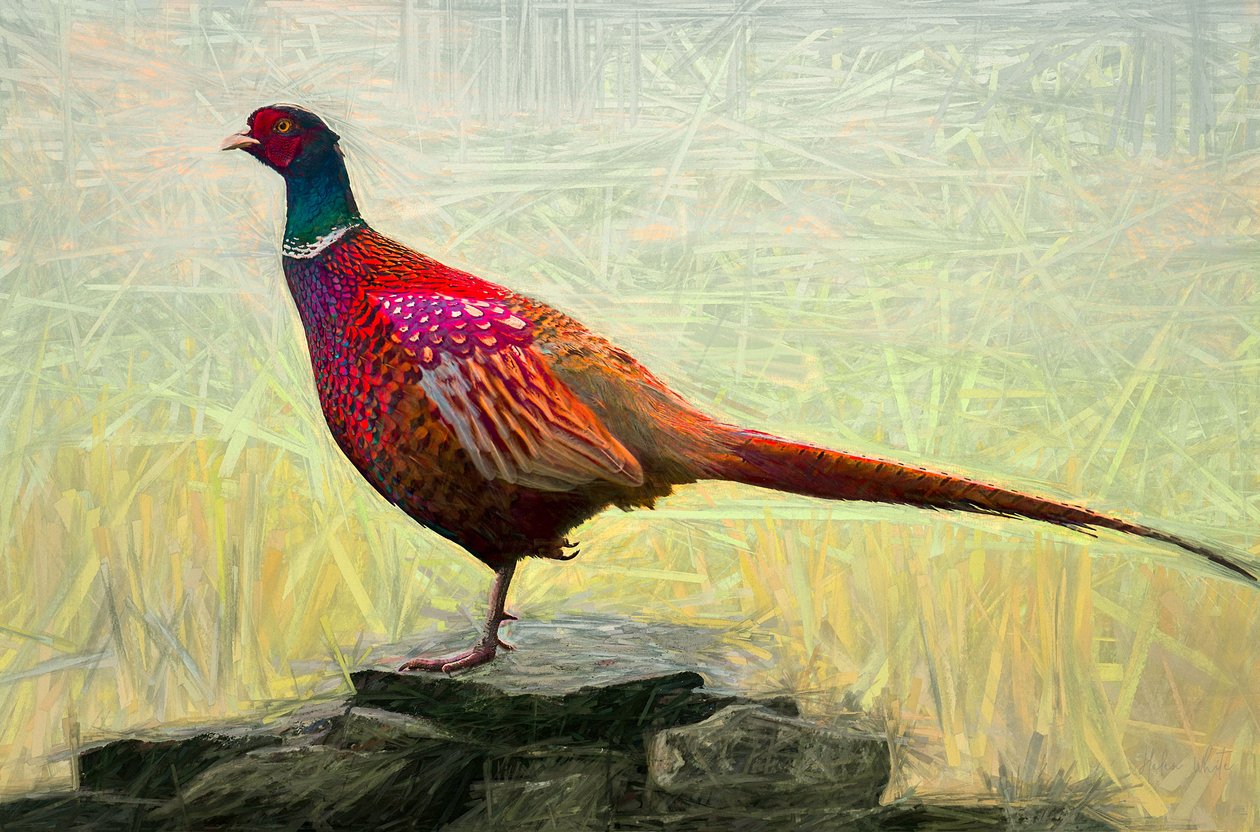 Pleasant Pheasant, 2018, swed av Helen White