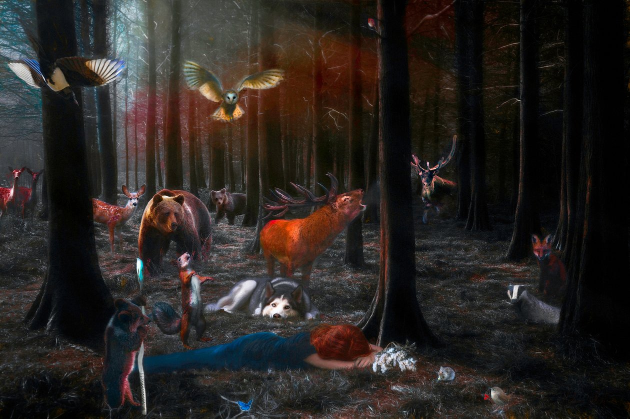 Vänligen vakna, 2018, av Helen White