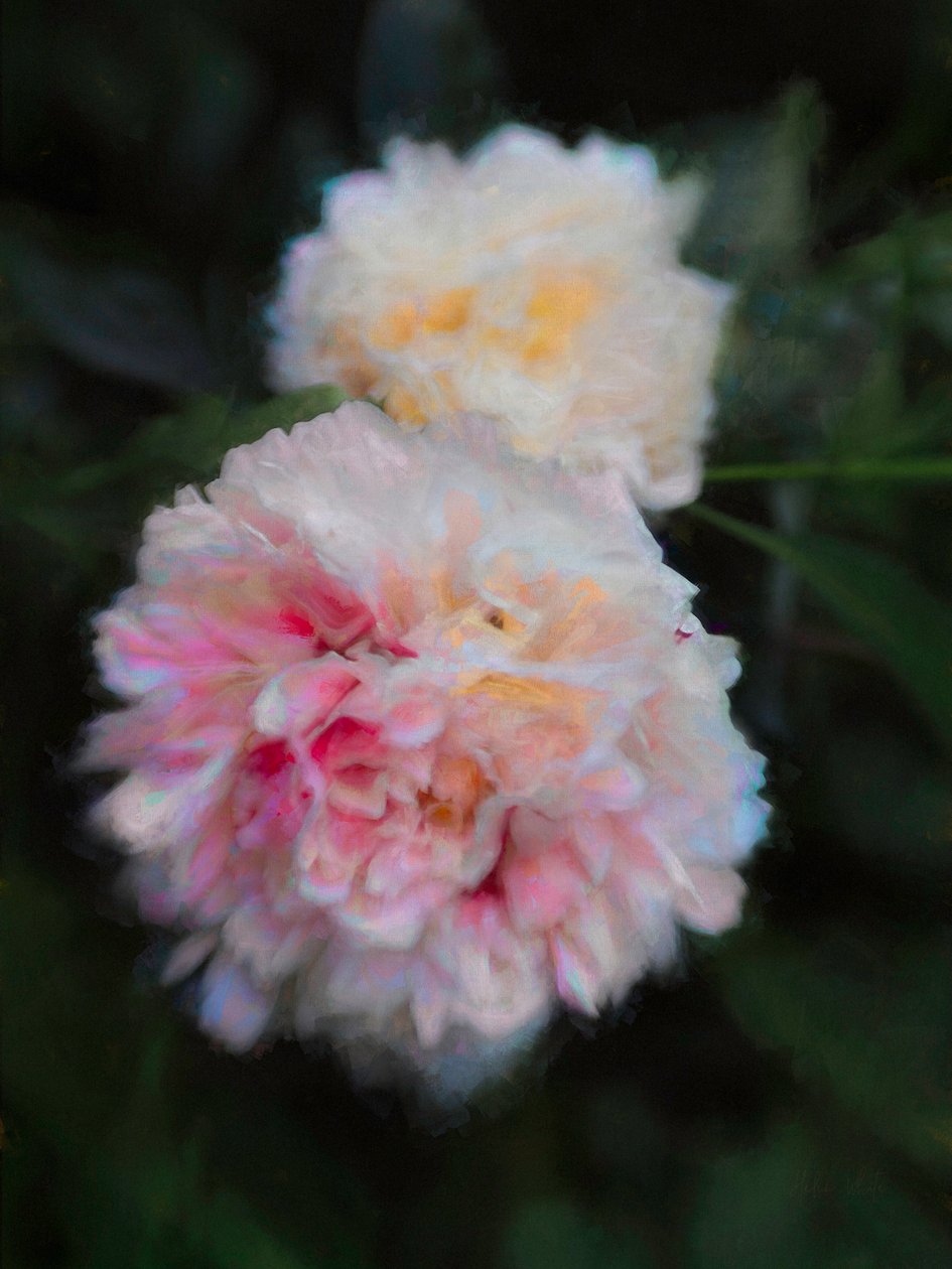 Sommarpioner, 2018, av Helen White