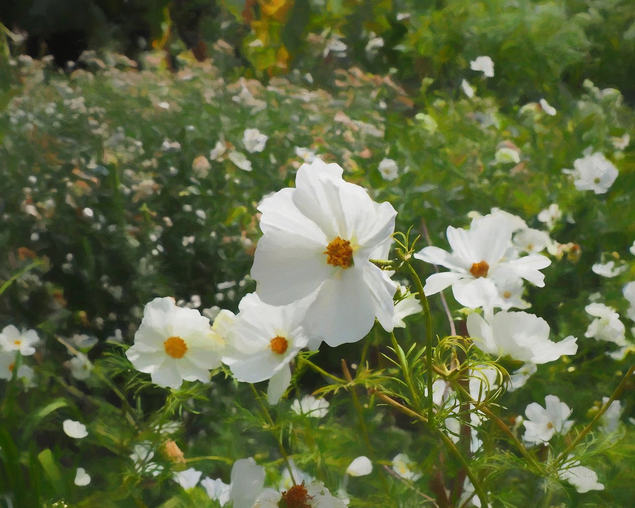 Le White Garden, 2018, swed av Helen White