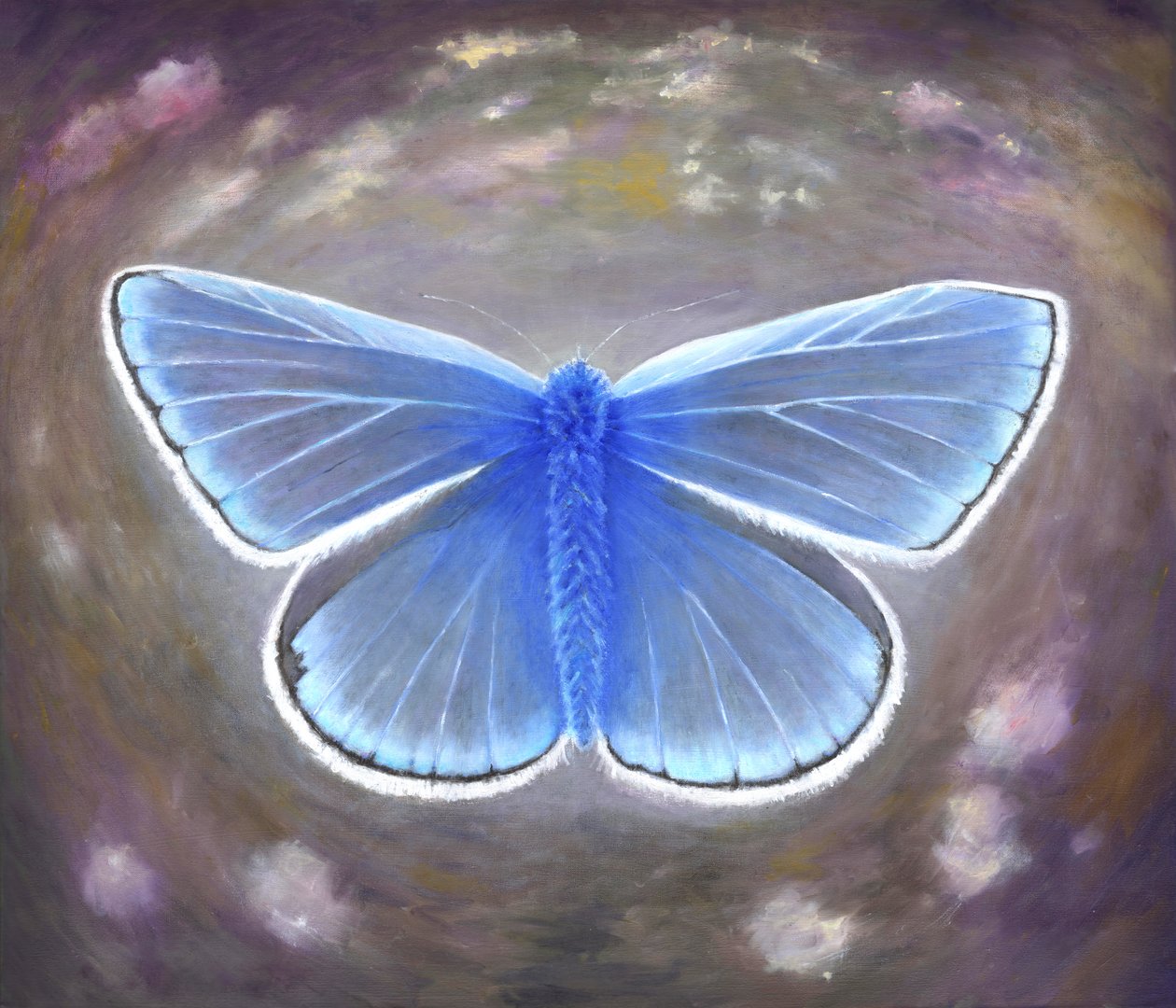 Uncommon blue, 2015, av Helen White
