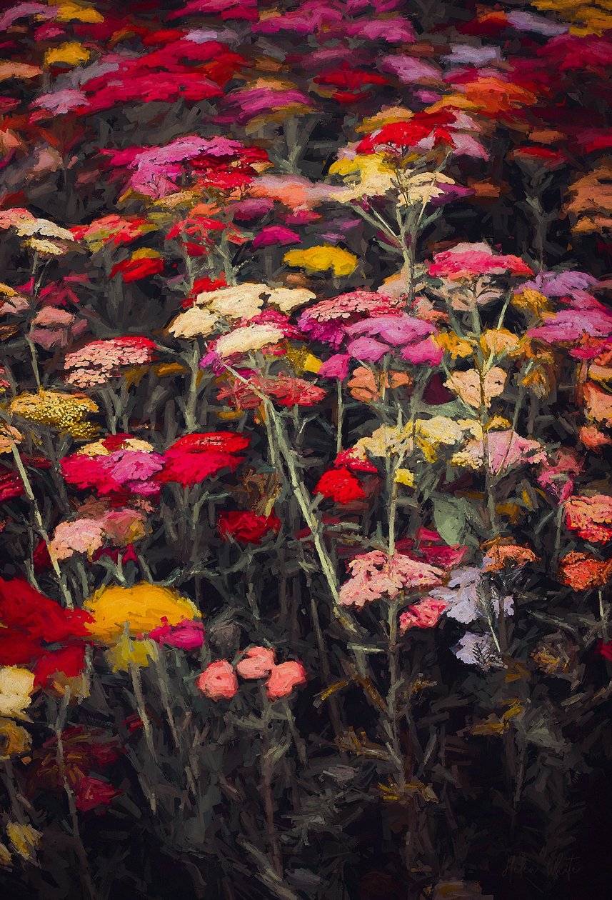 Vildt farverig, 2018, swed av Helen White
