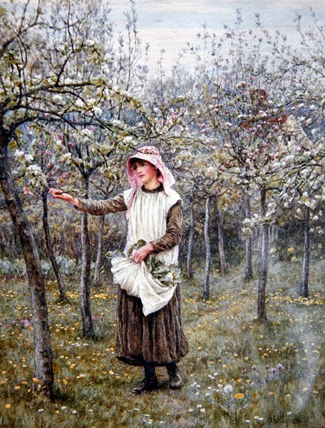 Blossom Time (akvarell på papper) av Helen Allingham