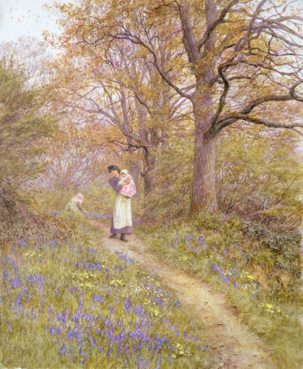 Blåklockor av Helen Allingham