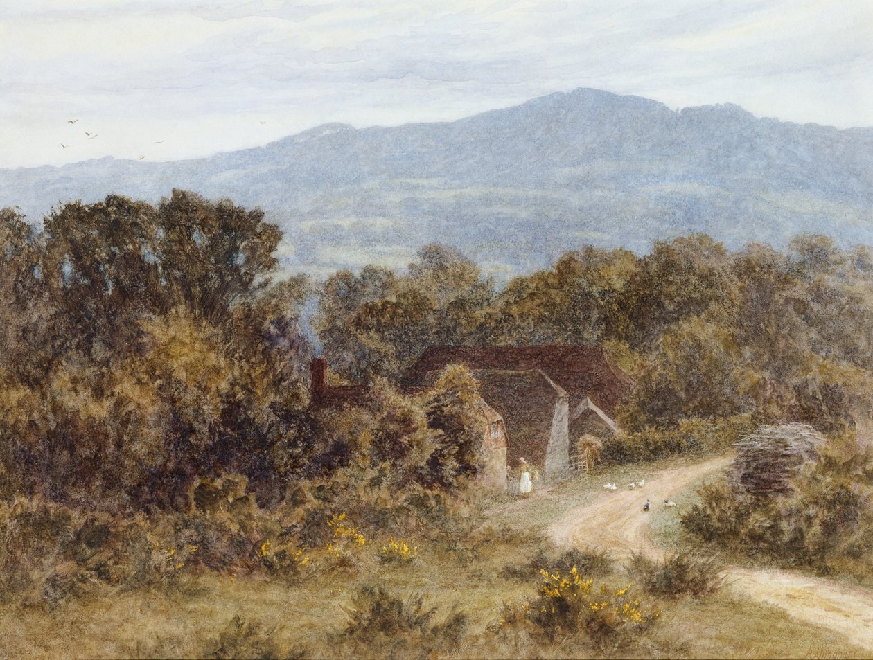 Bakhuvud från Sandhills, Witley (akvarell på papper) av Helen Allingham
