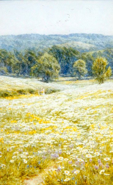 Oxeye Daisies, nära Westerham, Kent (akvarell på papper) av Helen Allingham