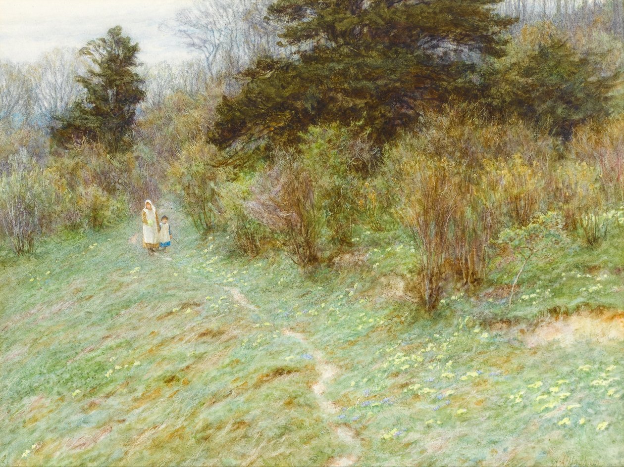 Primroses on a Surrey Heath (wc på papper) av Helen Allingham