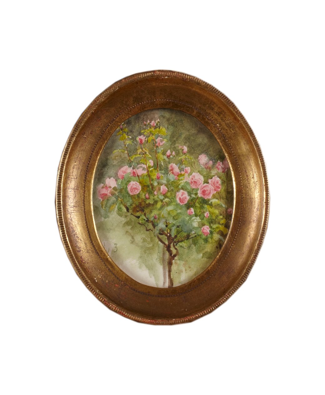 Rose Bush (akvarell på papper) av Helen Allingham
