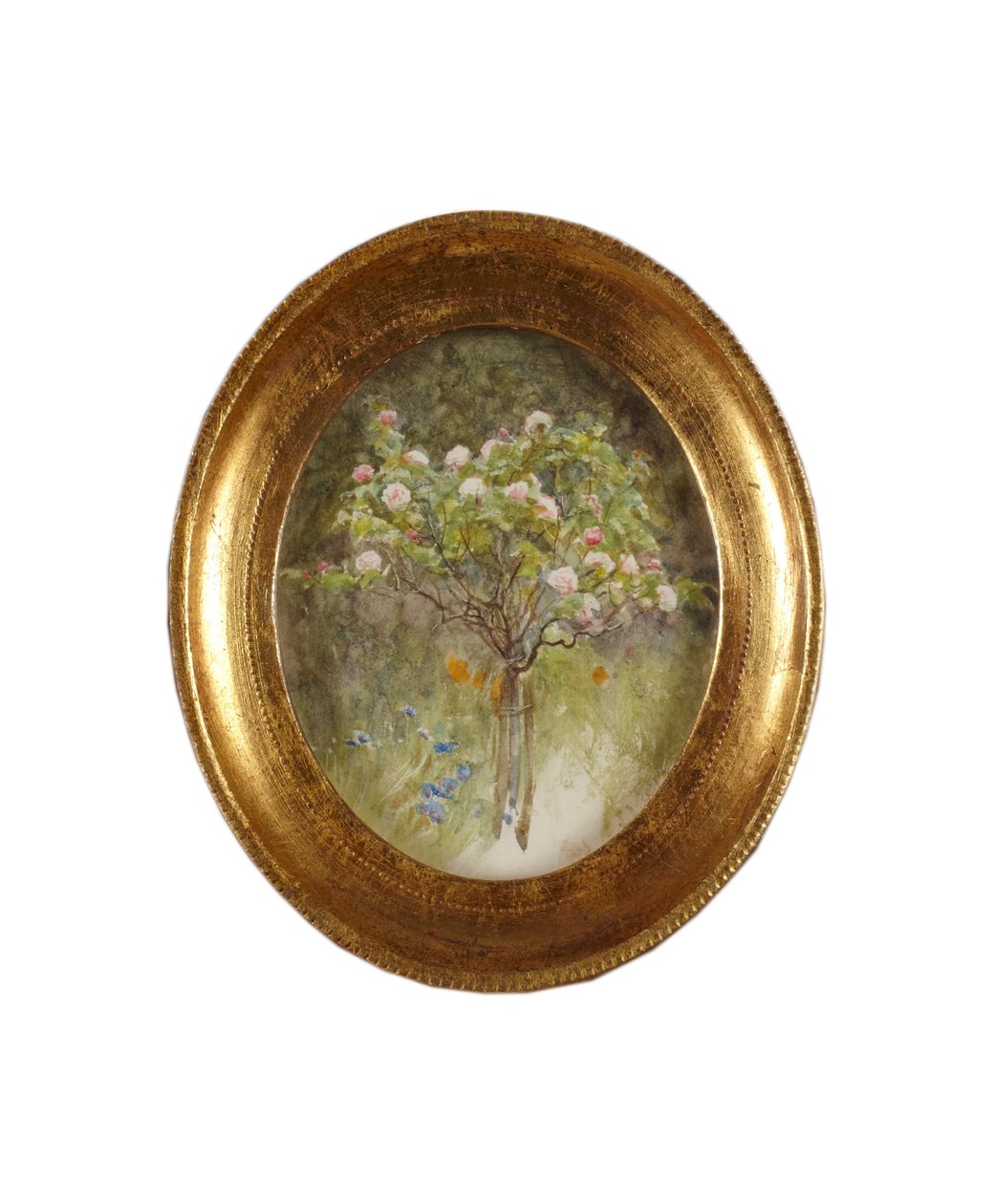 Rosenbuske och iris (akvarell på papper) av Helen Allingham
