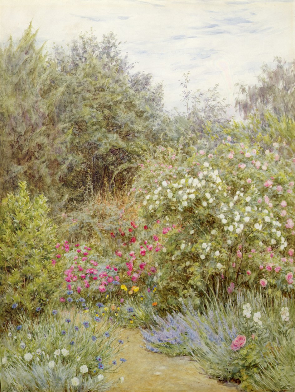 Rosor i Gertrude Jekylls trädgård, Surrey (akvarell på papper) av Helen Allingham