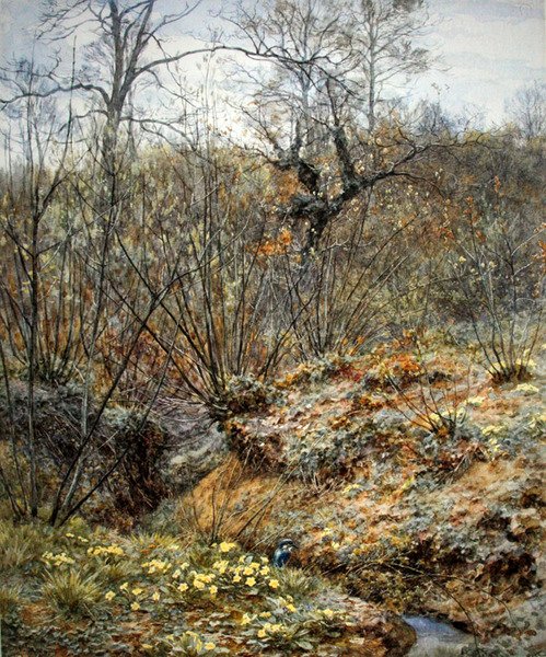 Spring copse, Witley, Surrey (akvarell på papper) av Helen Allingham