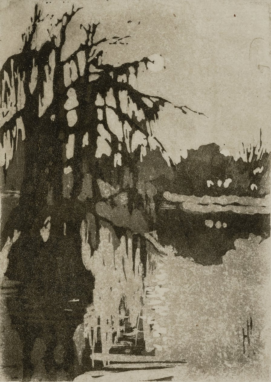 Cypress träd av Helen Hyde