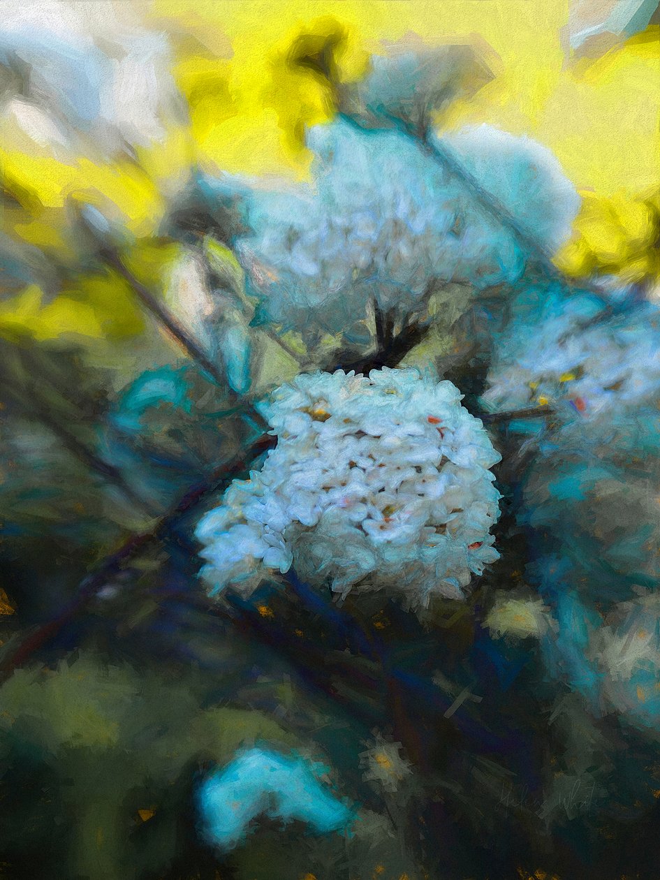 Blooming Maytime, 2019 av Helen White