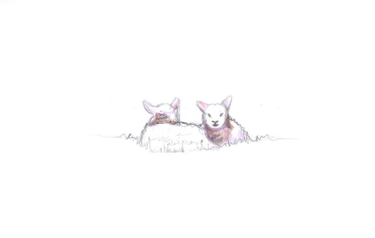 Nöjd, 2016, (pennteckning) av Helen White