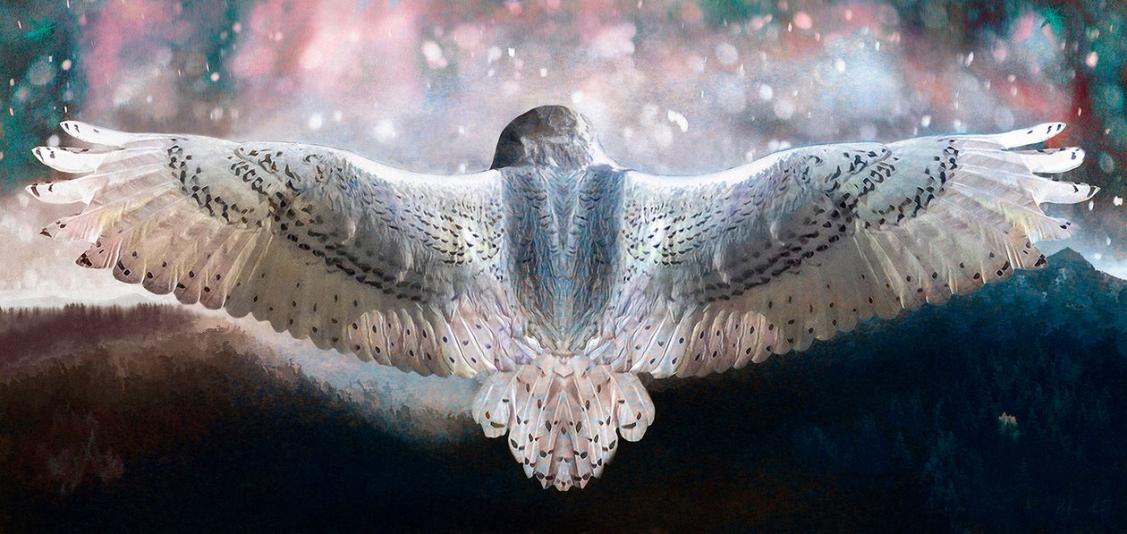 Våga flyga, 2019 av Helen White
