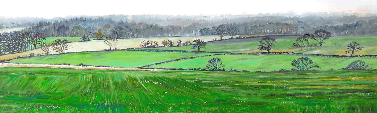 Från toppen av Farley Hill, 2008 av Helen White