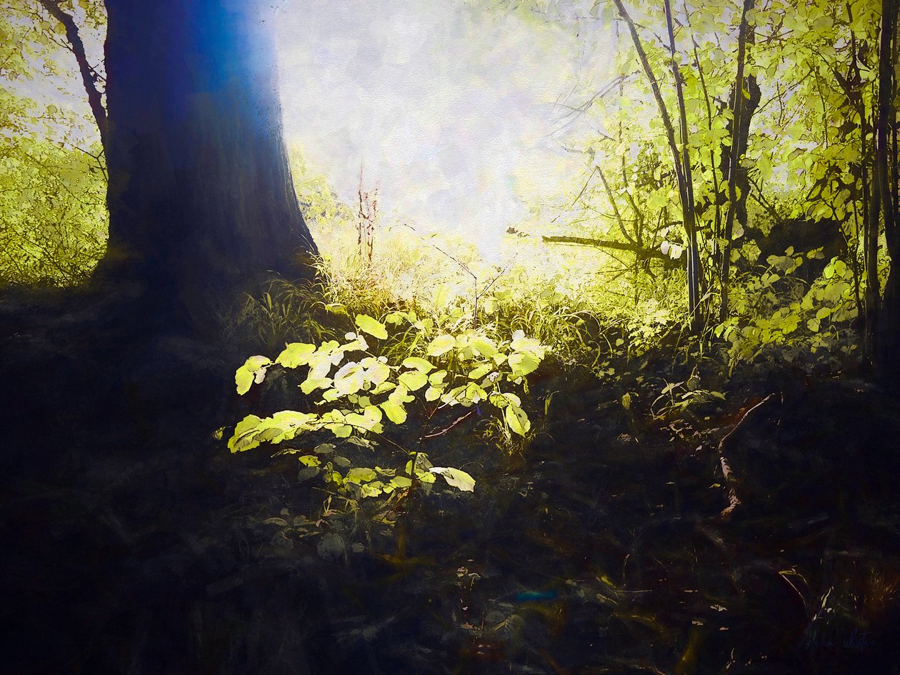Hellig plats, 2018 av Helen White