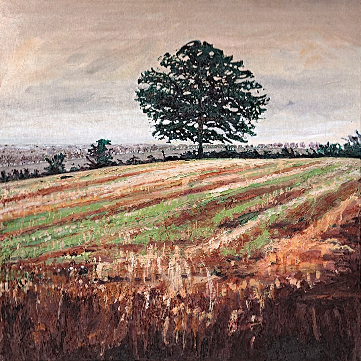 Sen eftermiddagsfält, 2009 av Helen White
